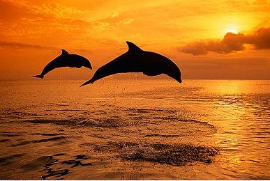 2021!史上最丰富的巴士驾驶体验，热门游戏系列《巴士模拟21》将于2021年9月7日推出！